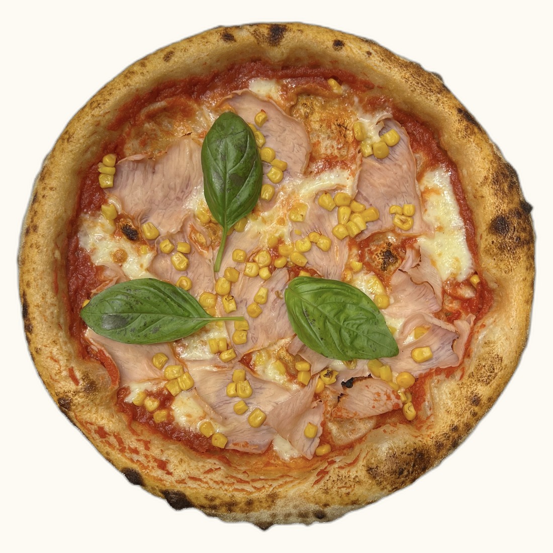 Prosciutto Cotto